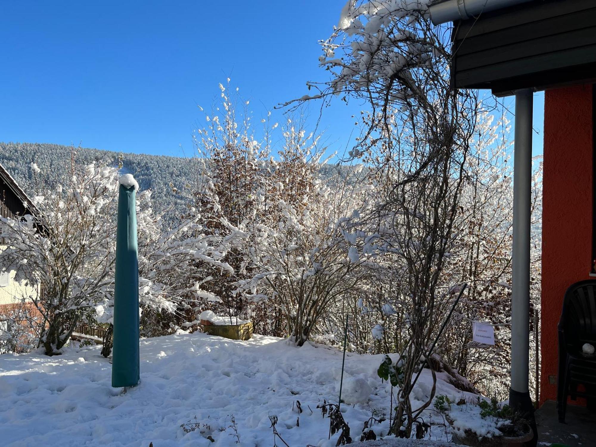 Ferienwohnung Waldhaus Max Bad Wildbad Exterior foto