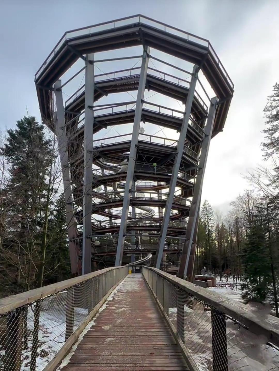 Ferienwohnung Waldhaus Max Bad Wildbad Exterior foto