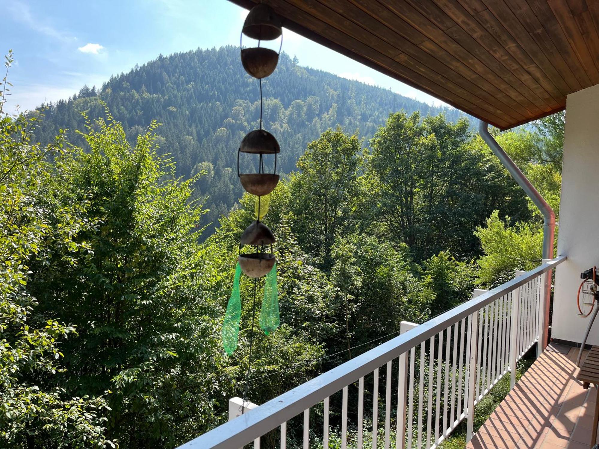Ferienwohnung Waldhaus Max Bad Wildbad Exterior foto